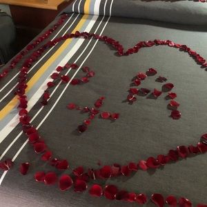 Meet your Posher, Alexia